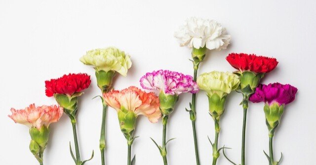 長持ちする花は お花を長持ちさせるコツとは 日本デザインプランナー協会 日本デザインプランナー協会 Note 長持ちする花は お花を長持ちさせるコツとは 日本デザインプランナー協会 日本デザインプランナー協会 Note