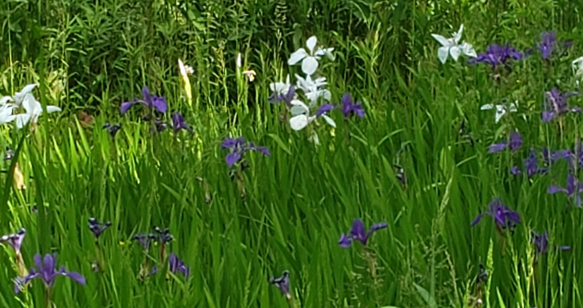 ネバーエンディングストーリー ファンシー手帖 Note