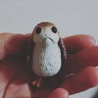 なんようび