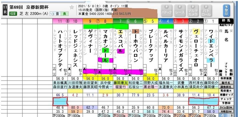 新聞杯サイン2021　京都新聞杯