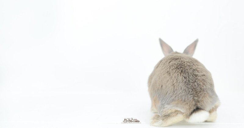 【ペット】💝🐰お客様紹介🐰💝