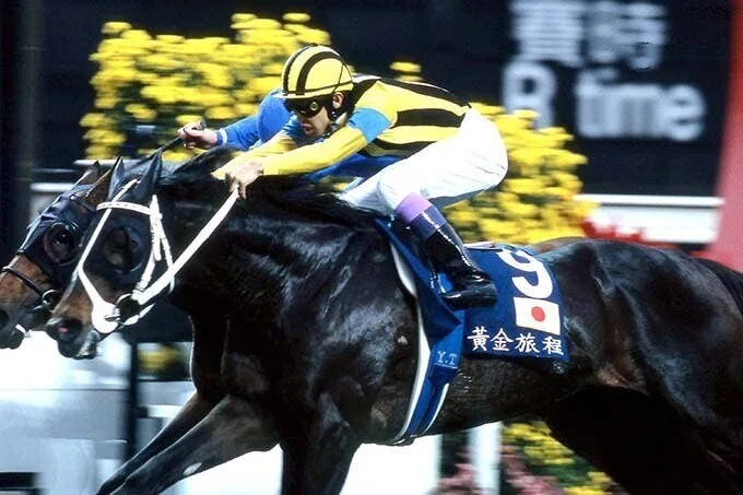 入手困難】 スポーツ新聞日刊スポーツステイゴールド香港 入手困難】 スポーツ新聞日刊スポーツステイゴールド香港