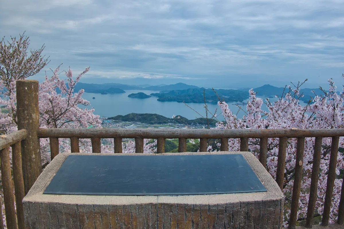 画像36