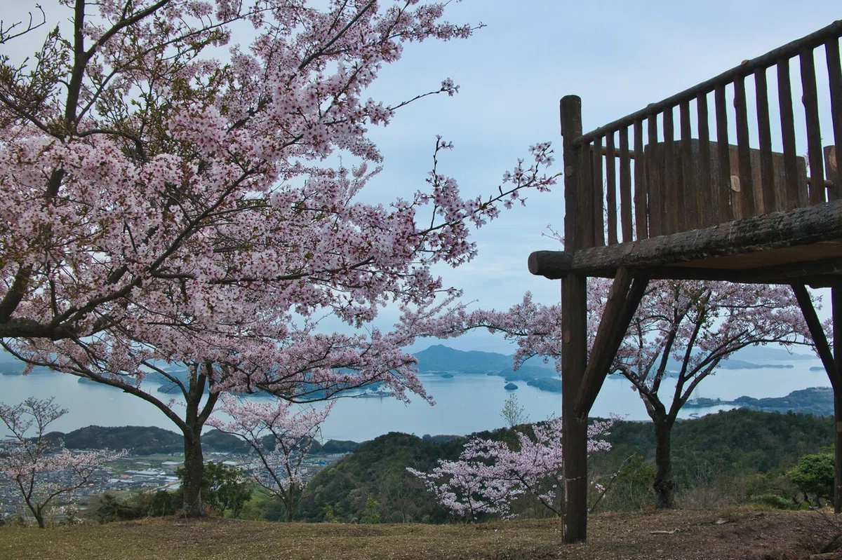画像37