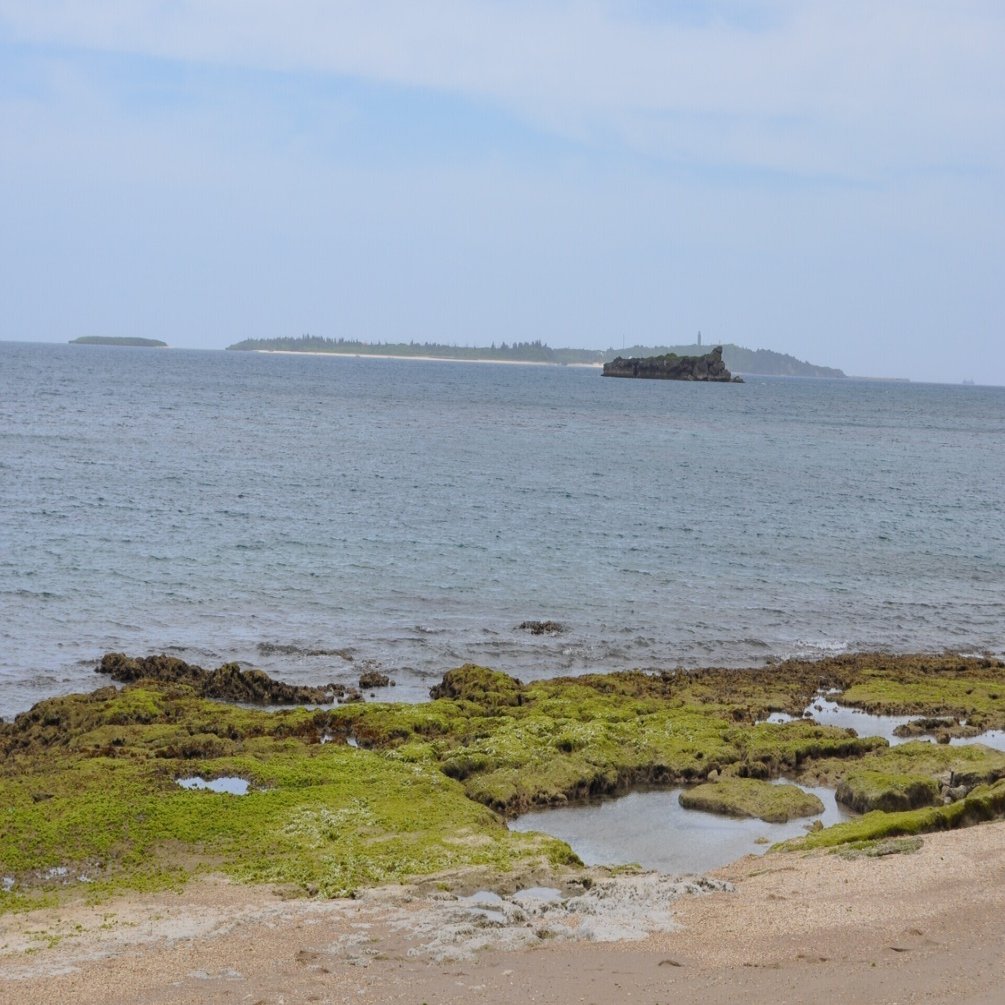 うるま市 ホワイトビーチ ヒロ Note