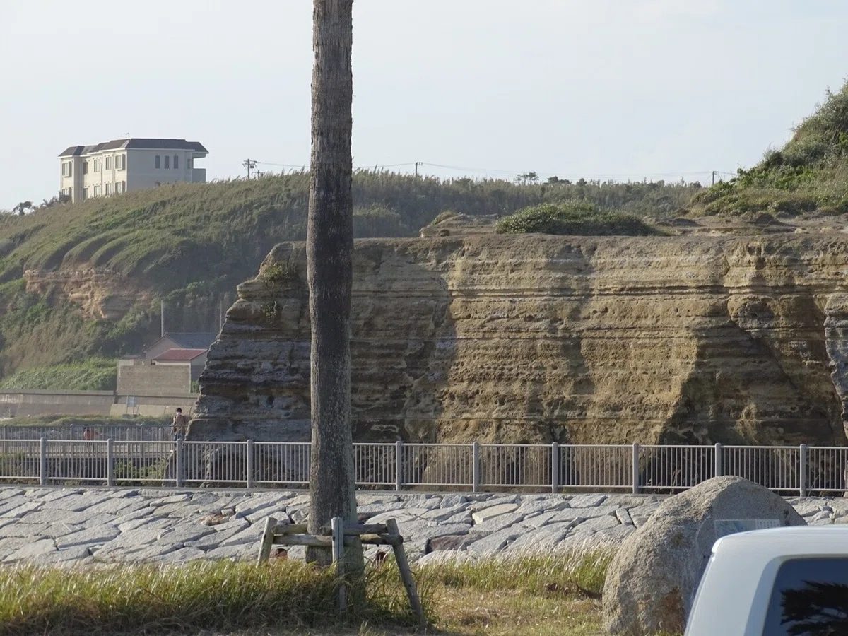 画像7