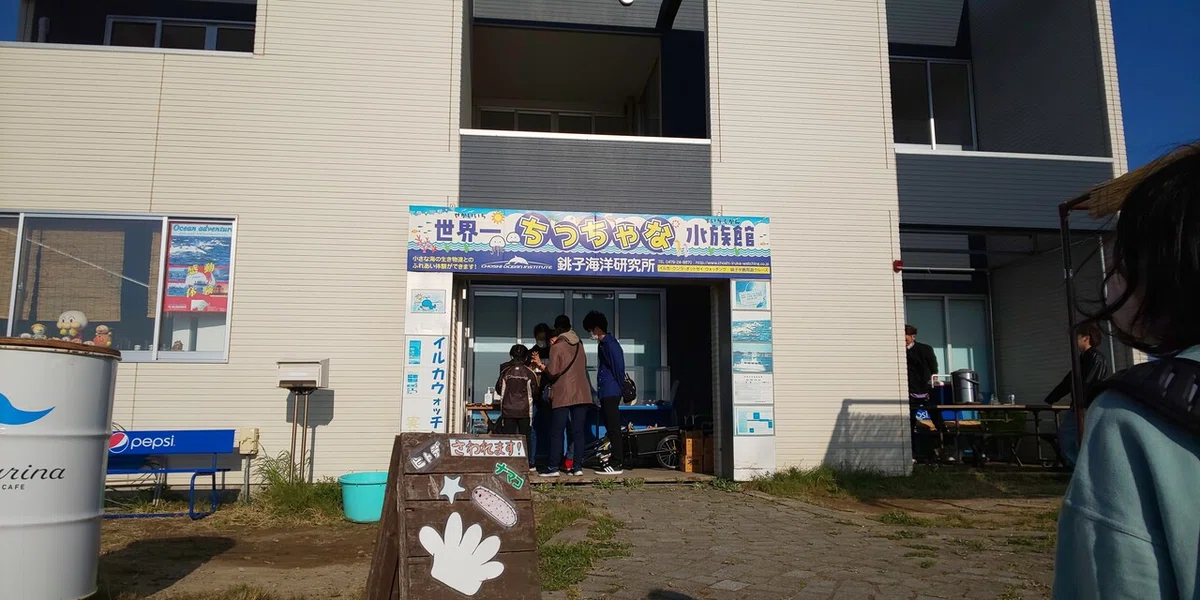 画像11