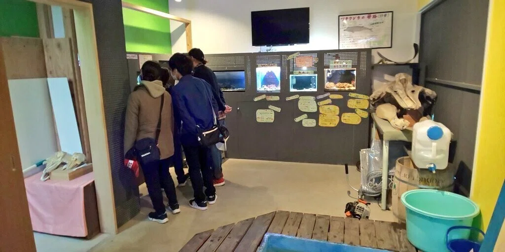 画像11