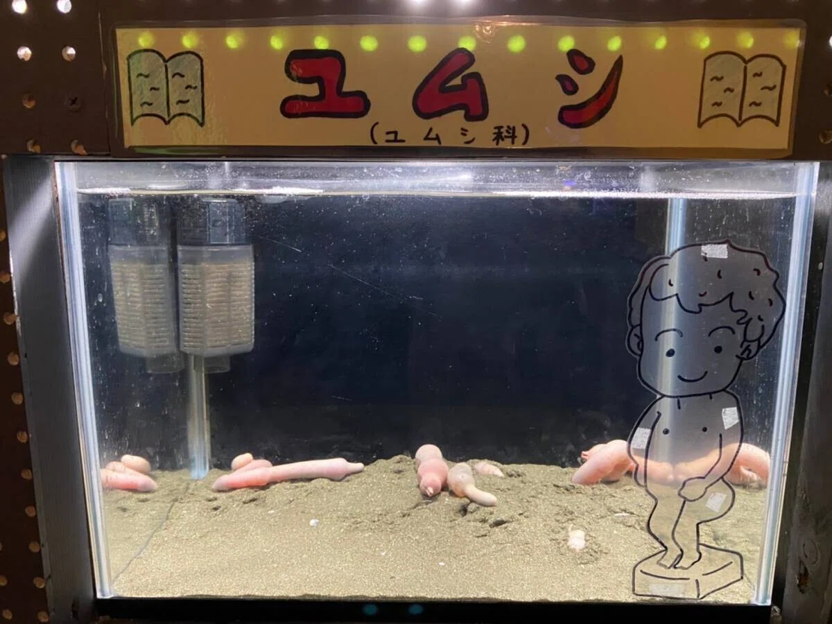 画像13