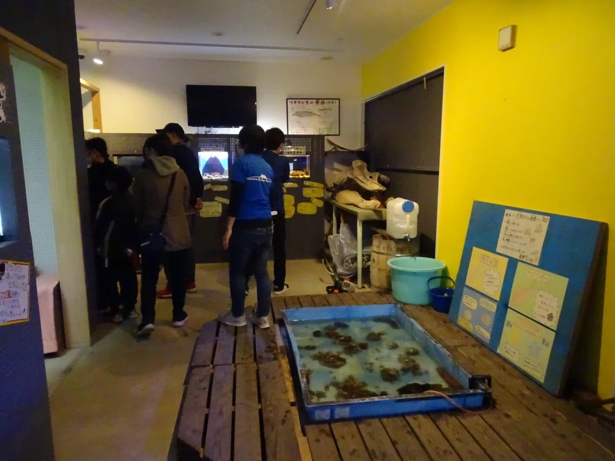 画像19