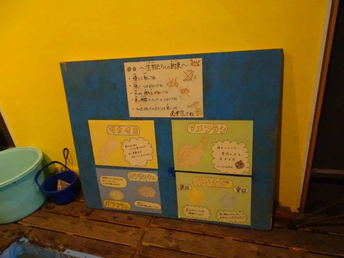 画像20