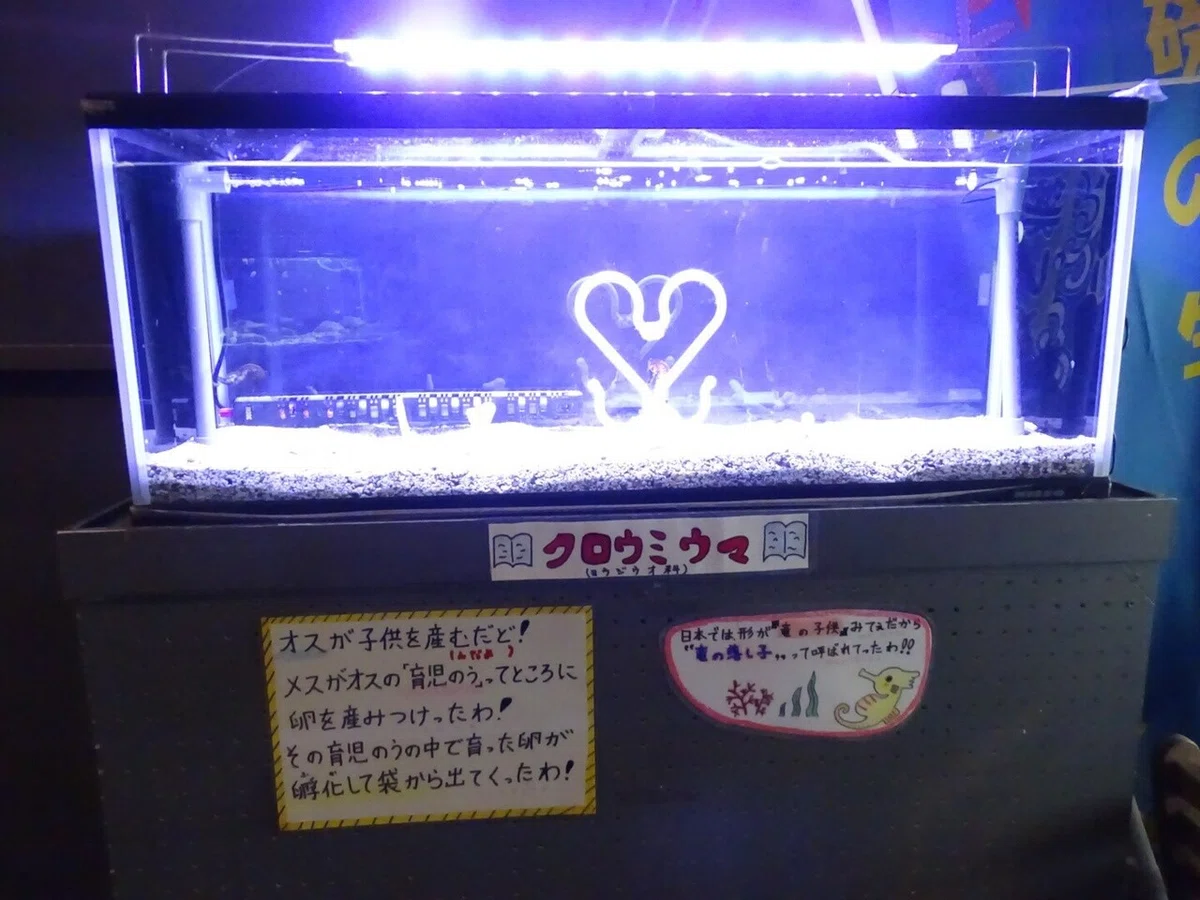 画像21