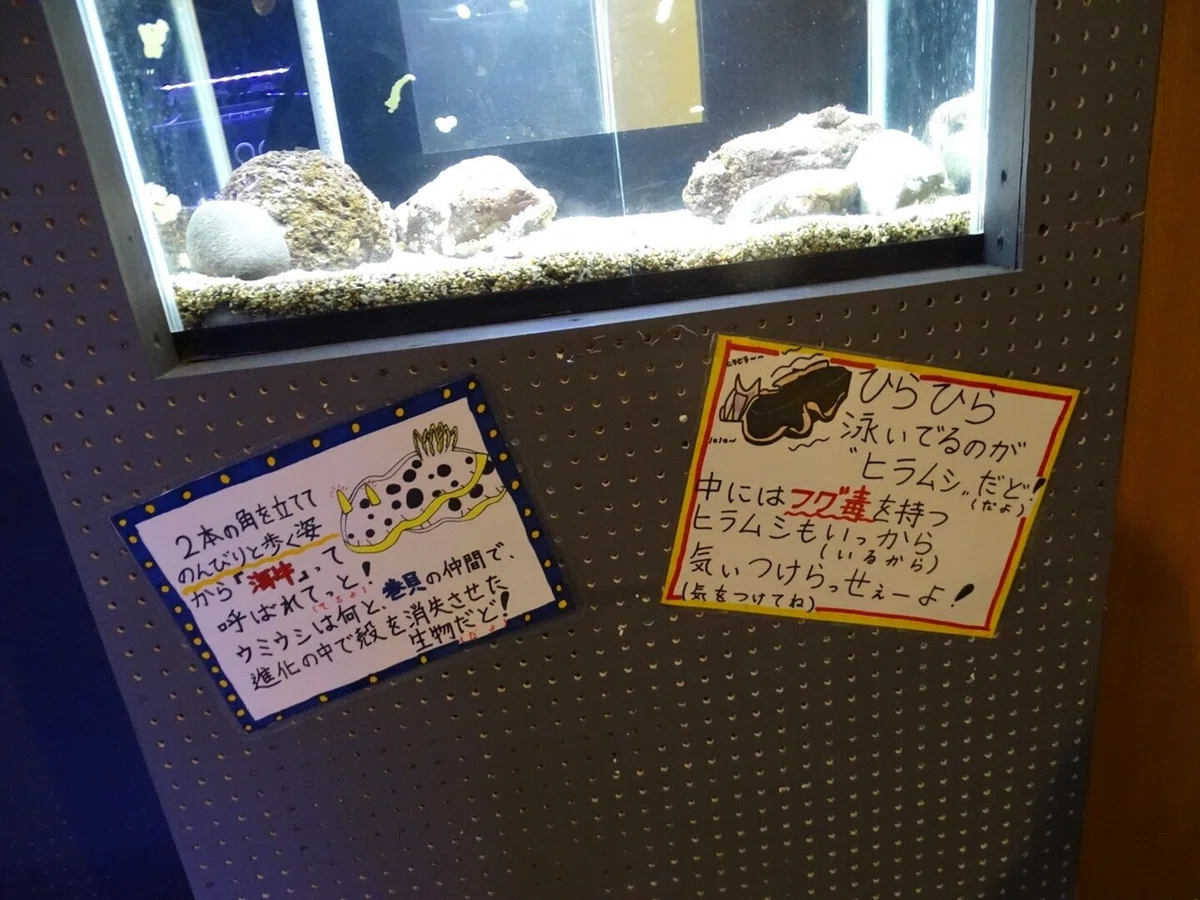 画像24