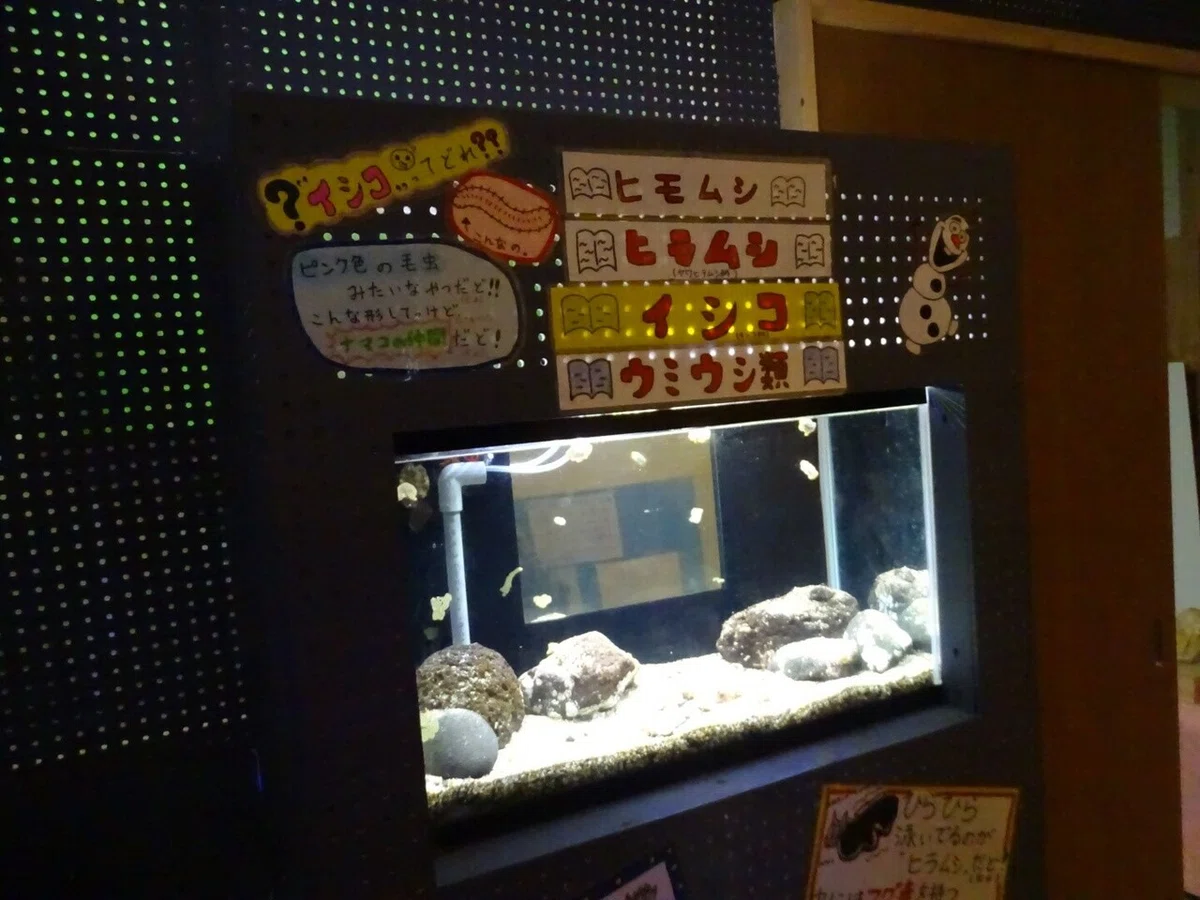 画像23