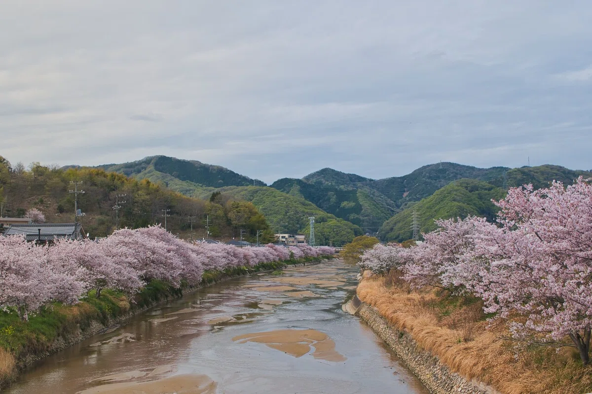 画像39