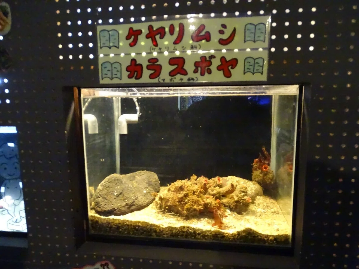 画像29