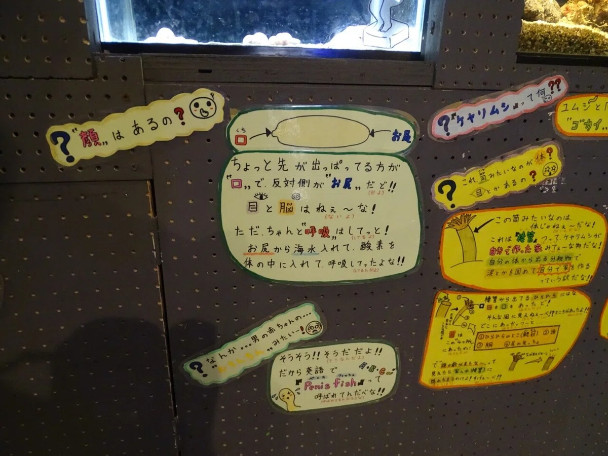 画像27