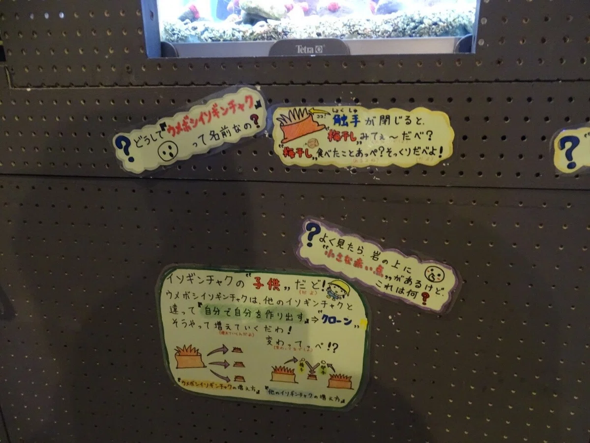画像32