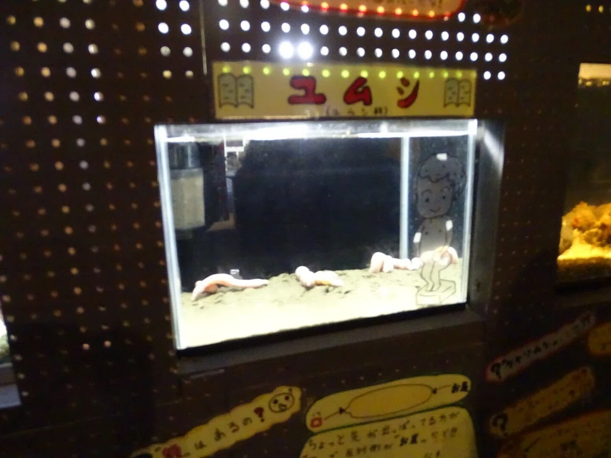 画像28
