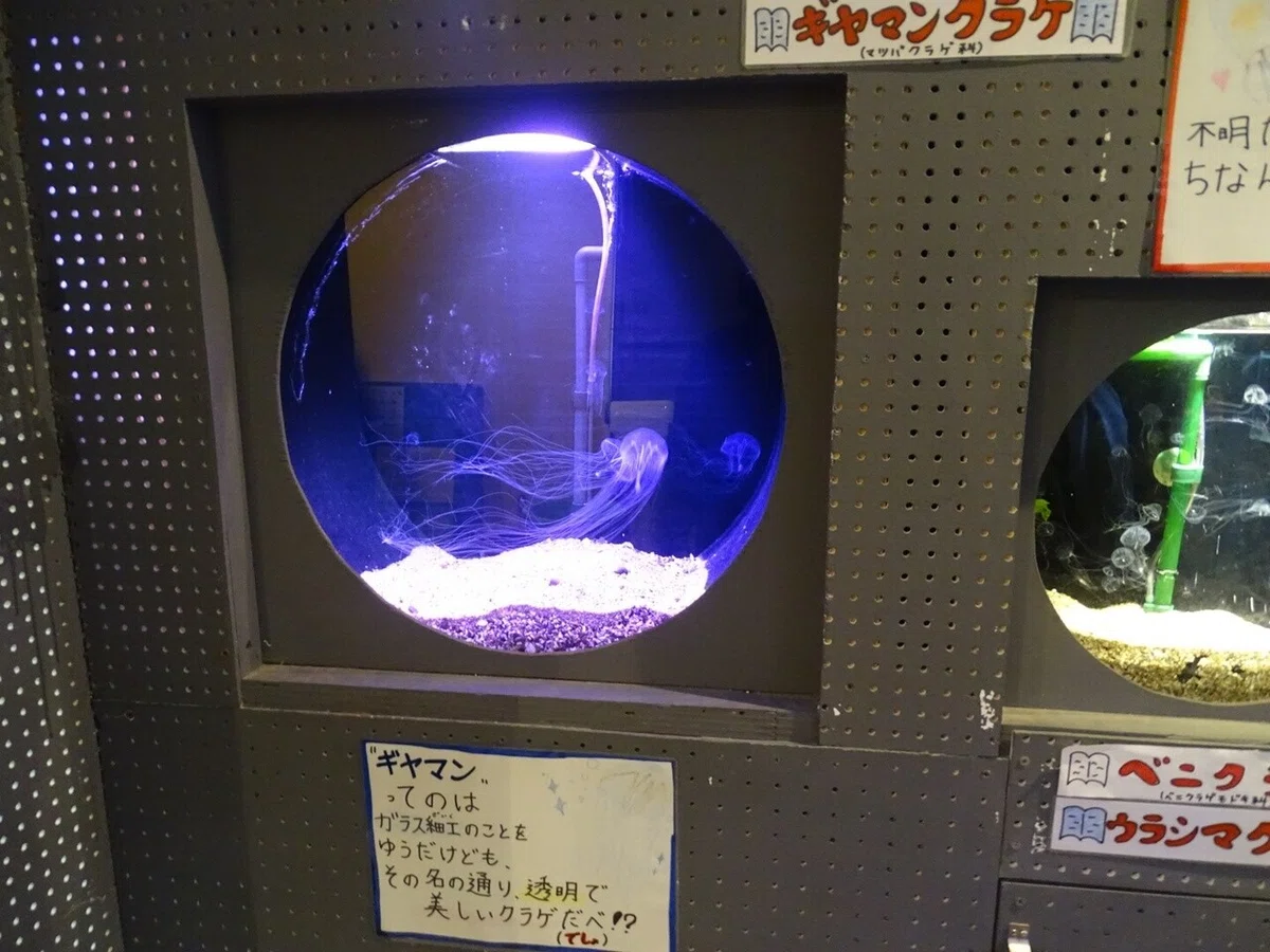 画像36