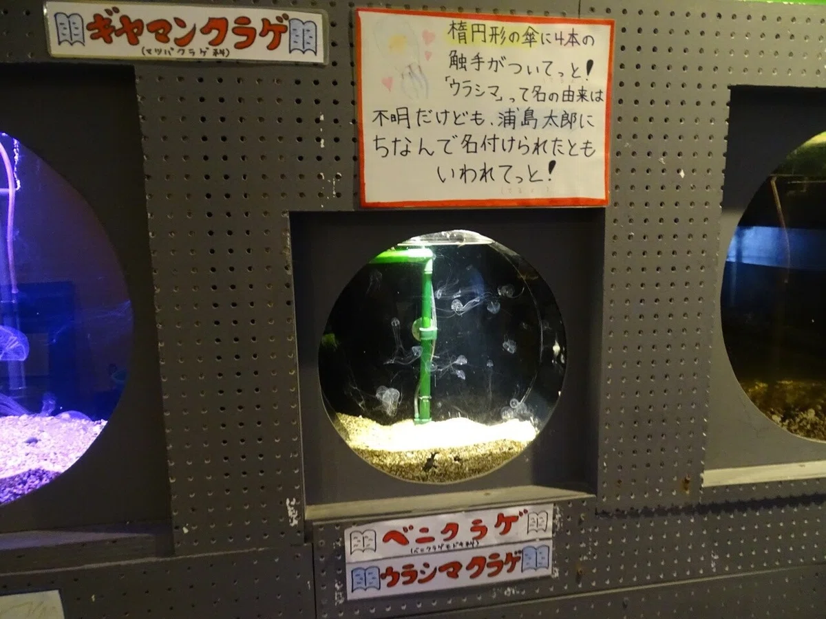 画像35