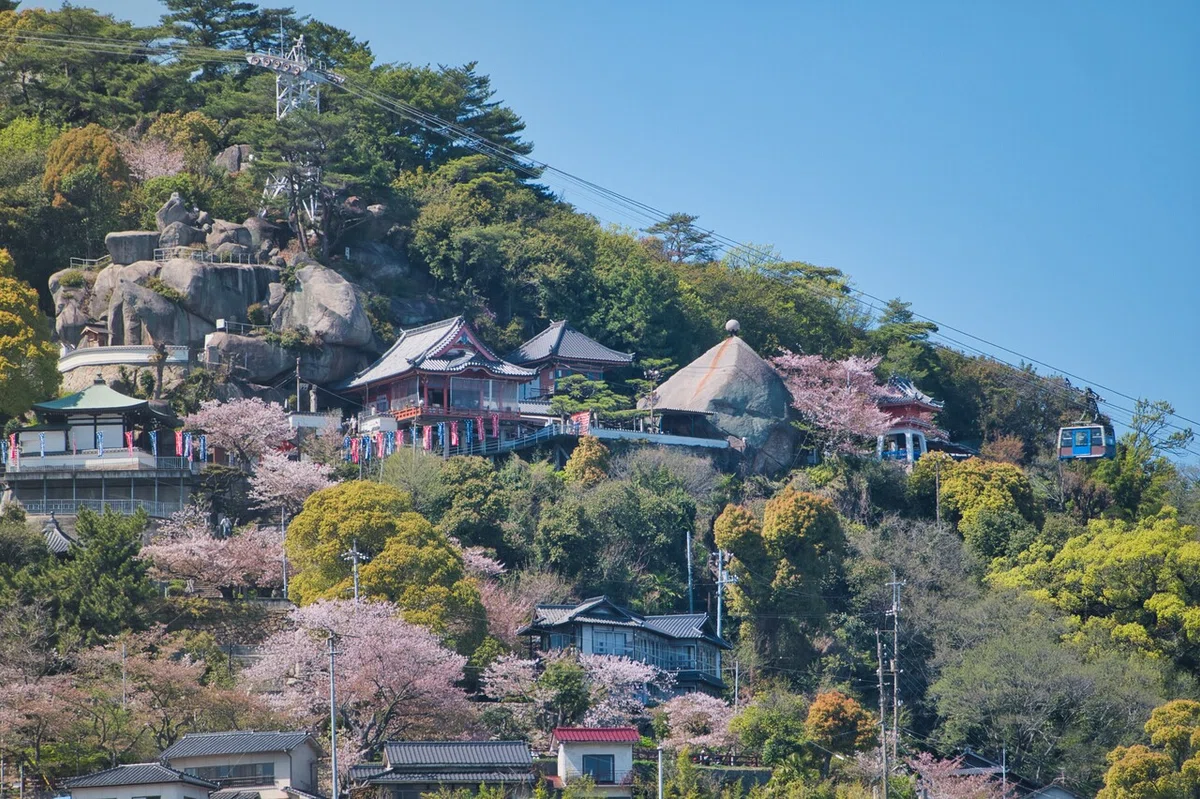 画像40