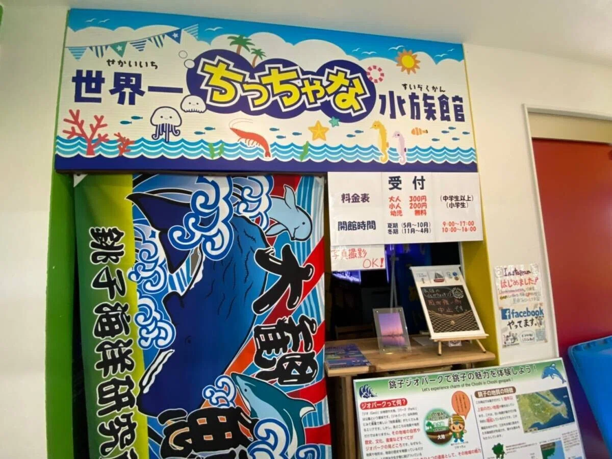 画像38