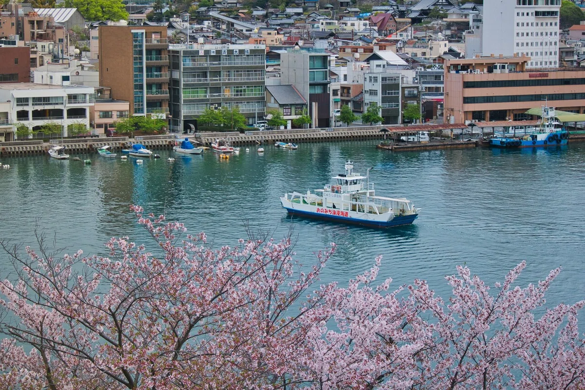 画像44
