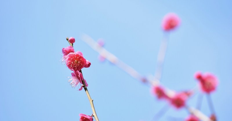 小さな成功体験が幸を呼ぶ