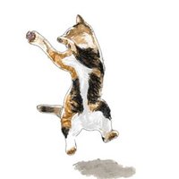 和訳 The Scientist Coldplay いろは Note