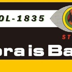 O.C. : WordLife｜hsysblog