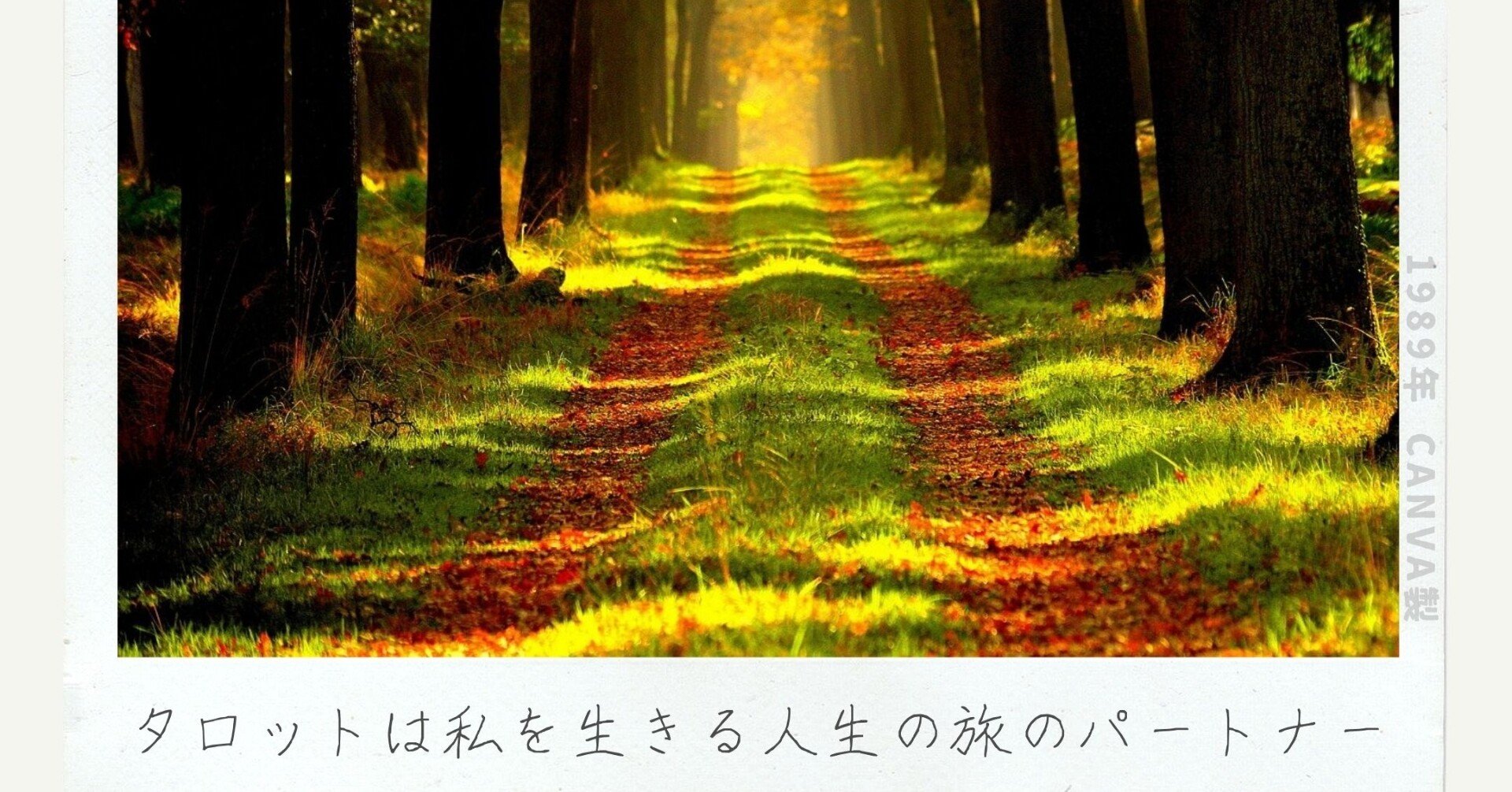 タロットは私を生きる人生の旅のパートナー ゆい Note タロットは私を生きる人生の旅のパートナー ゆい Note