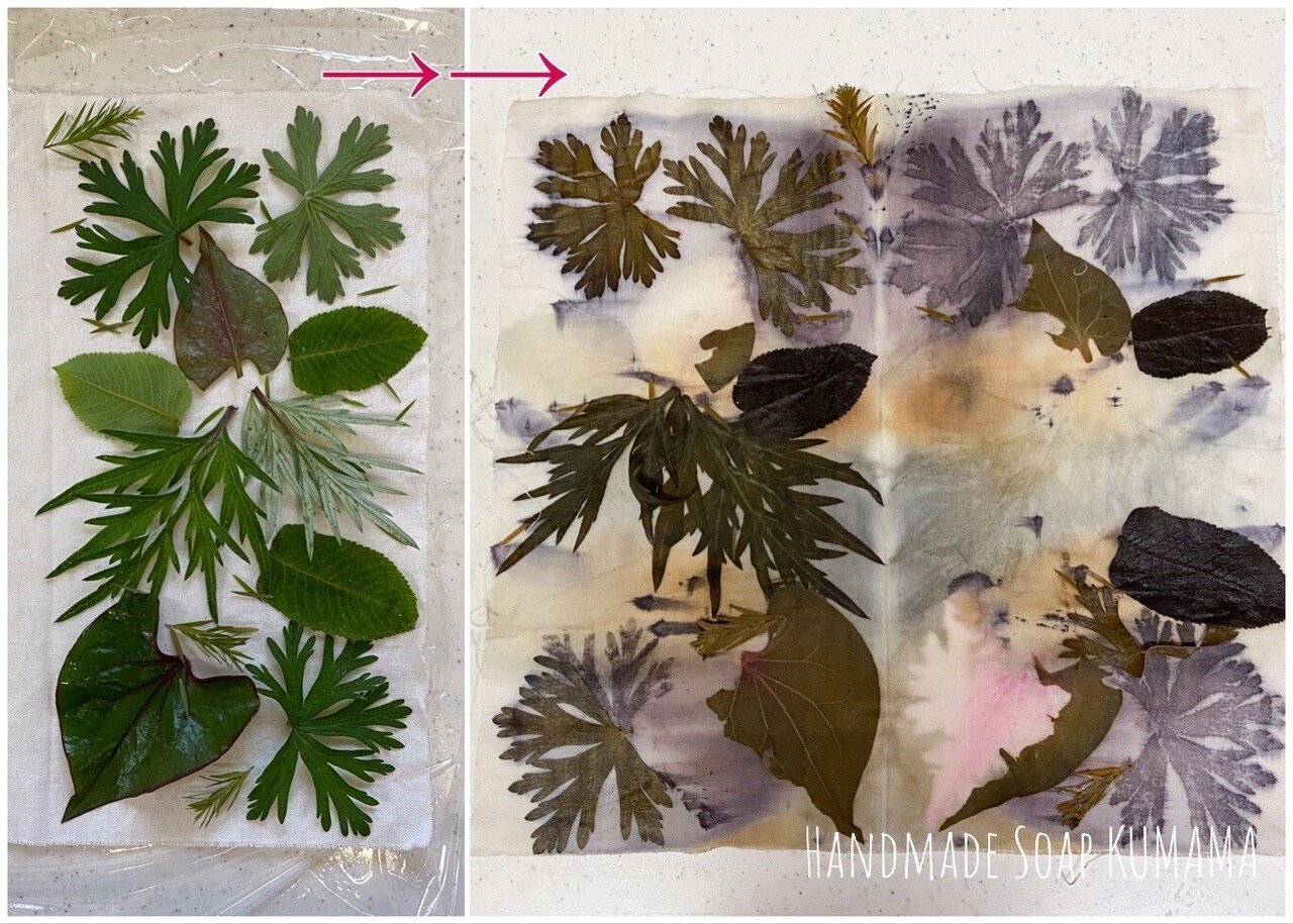 植物の色や形を移して染める 花葉のおき染め ゆりくま せっけんと葉っぱと色と香り Note 植物の色や形を移して染める 花葉のおき染め ゆりくま せっけんと葉っぱと色と香り Note