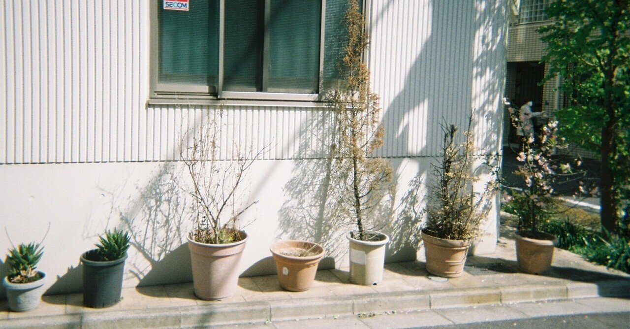 新作人気 Kodak 3409 ISO16 13本セット 作例あり（2025年最新】モノクロ フィルムカメラ