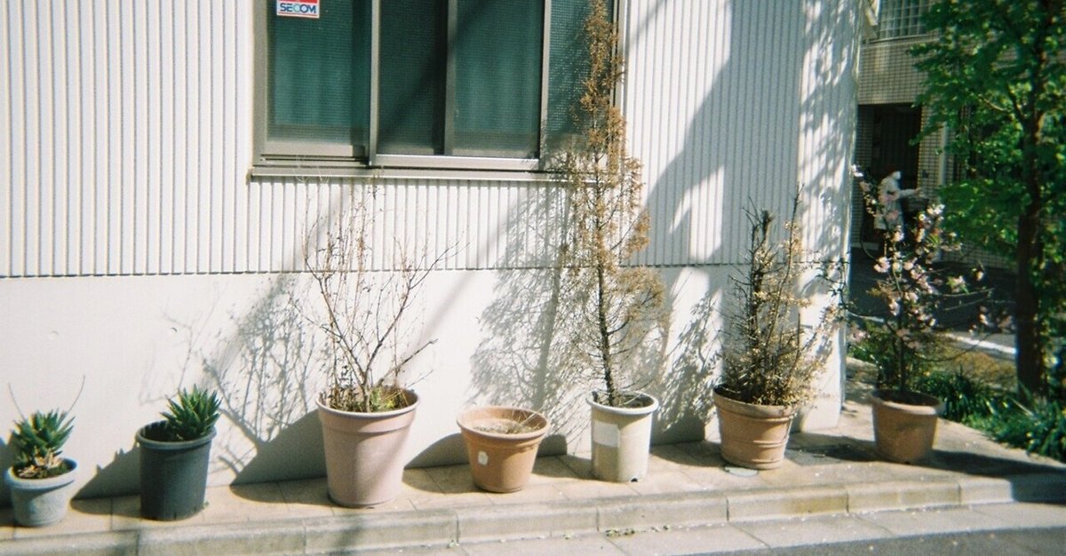 Kodak 3409 ISO16 13本セット 作例あり Kodak 16 mm / 400ft コダック VISION3 500T カラーネガティブ