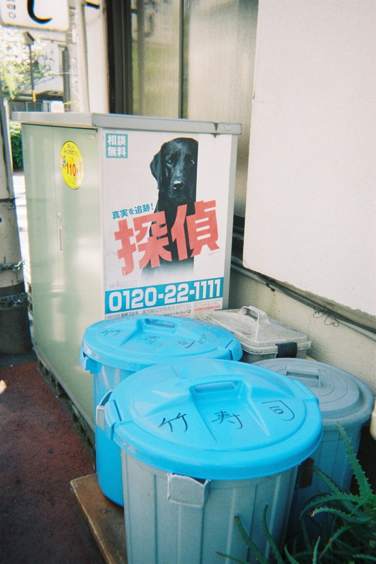 Kodakの使い捨てカメラ!全27枚公開!|KenTanahashi Kodakの使い捨てカメラ!全27枚公開!|KenTanahashi