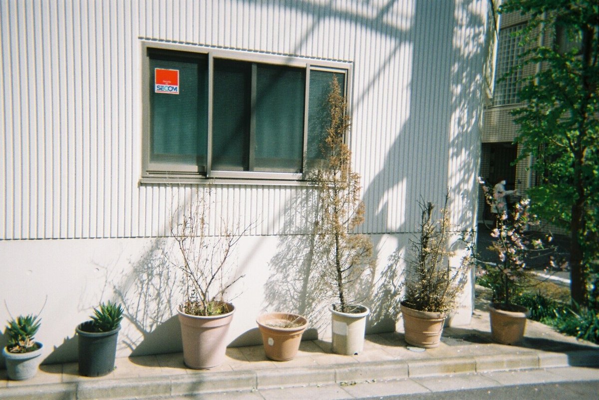 Kodak 3409 ISO16 13本セット 作例あり Kodakの使い捨てカメラ！全27枚公開！｜KenTanahashi
