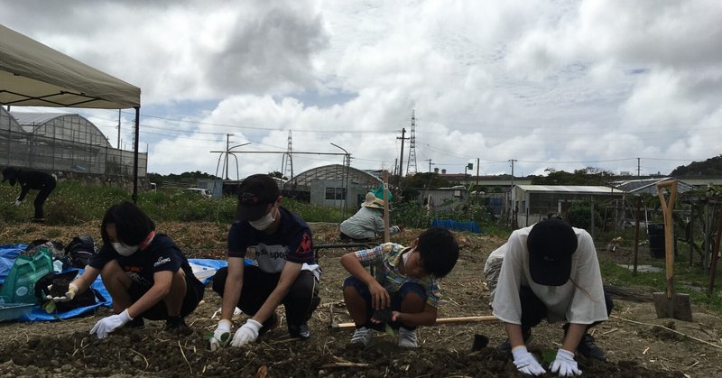 書評 植物と叡智の守り人 樹山 瞳 note