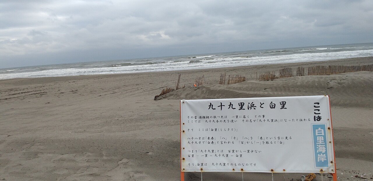 九十九里イワシ Locally Caught Sardine In Kujukuri Coast 千葉県山武郡九十九里町 いさりび食堂 魚介馬鹿一代 Fish Nerd Life Note