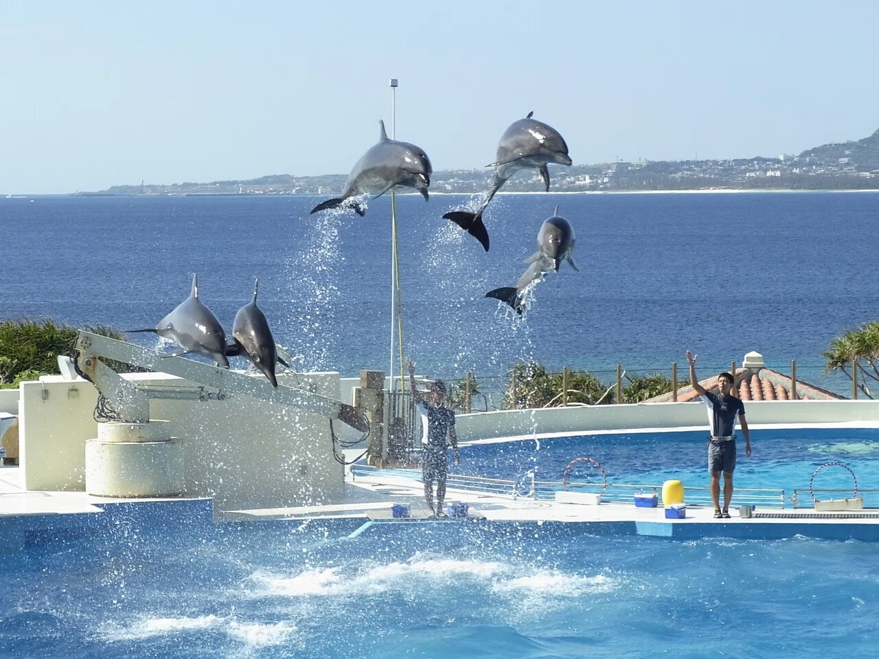 バスツアーで行く海洋博公園の無料で楽しめる場所3選｜かまぼこ