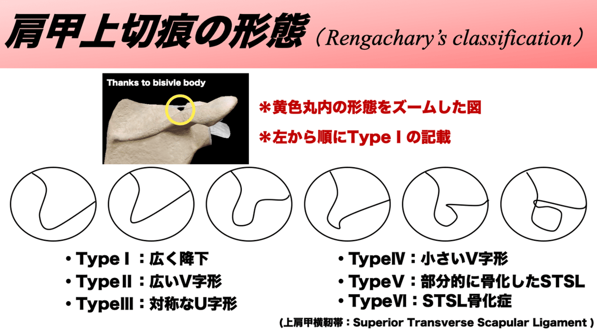 スクリーンショット 2021-05-09 8.19.35