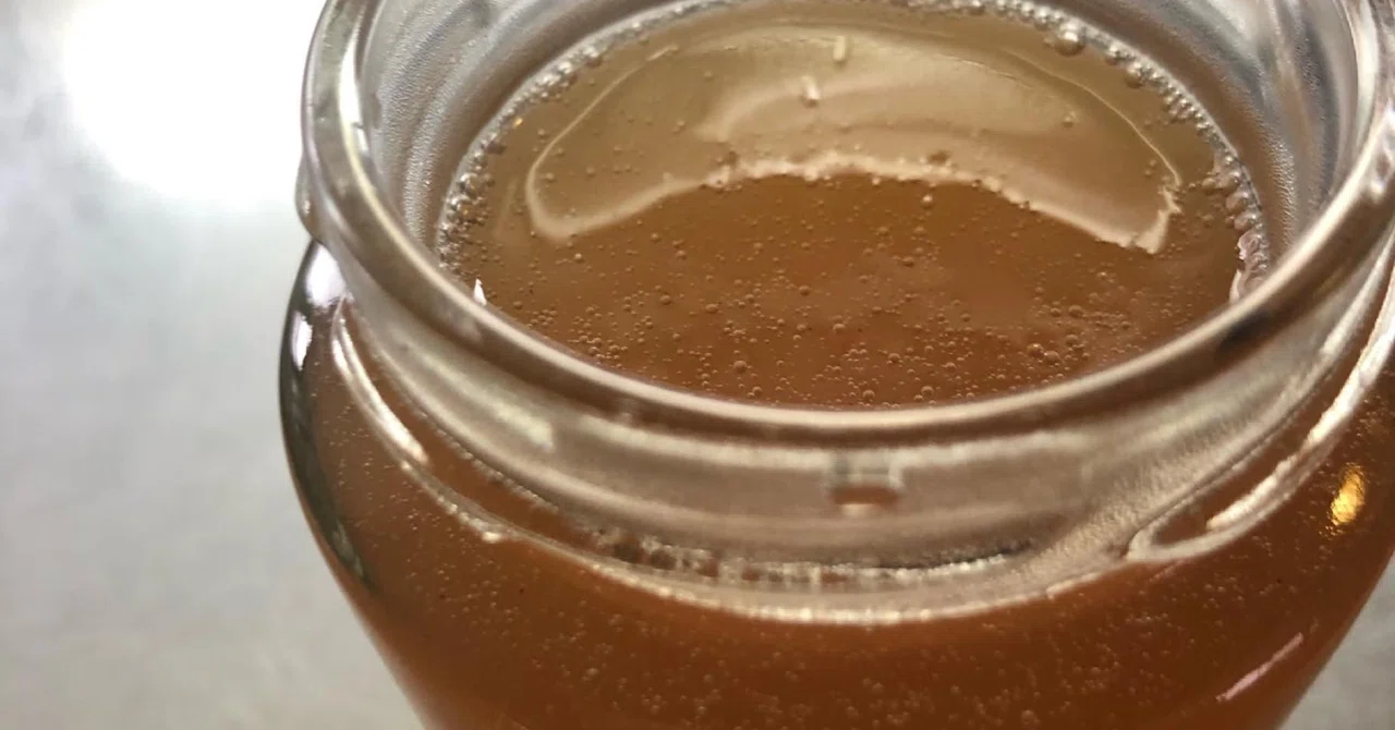 Corn Malt Syrup from Corn｜内田華子
