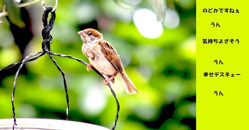 スズメ 英語ではsparrow スパロウでいいのかなぁ 可愛いね Gatokukubo Note