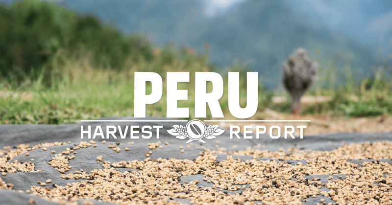 PERU HARVEST REPORT