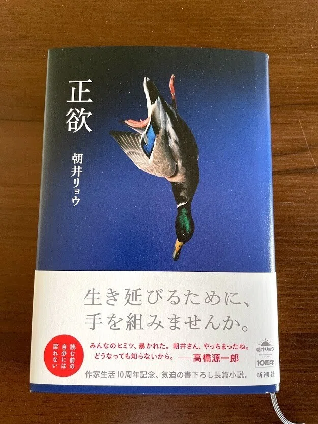読書感想文＃1 「正欲」 著者：浅井リョウ｜Toshik