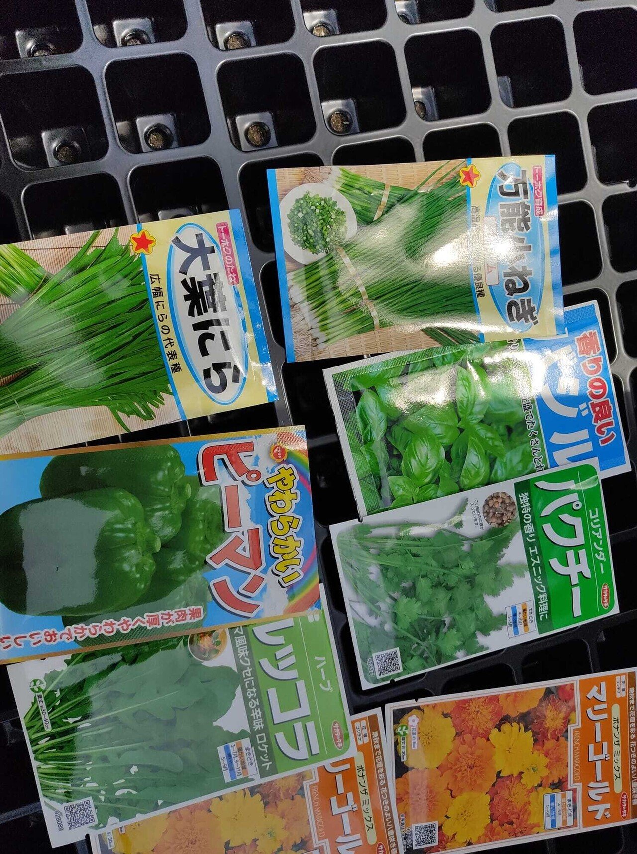 種を買った マリーゴールドは根こぶ線虫駆除のため 韮は根から抗生物質的成分を出し菌をやっつけるとか 化学物質を使わず自然素材の天敵効果で バジル ルッコラ パクチー 葱 韮は 自分の打った麺に絡め楽し 浦野かずのり Note