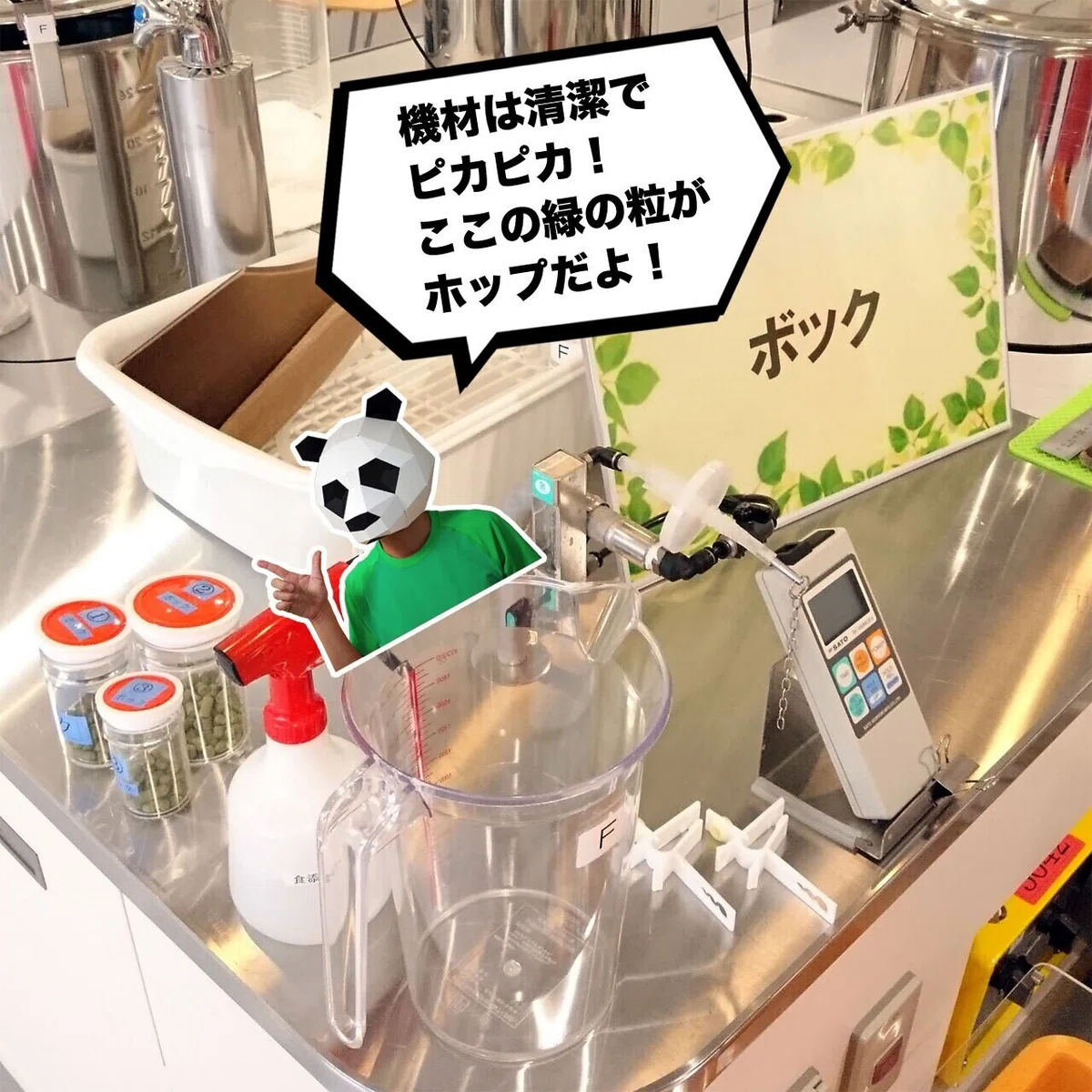画像12