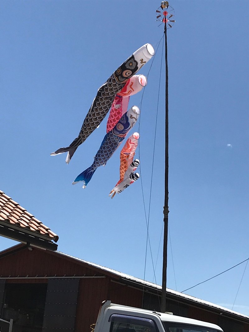 鯉のぼり祭りは 日本人の心にしみる 美しい年中行事を残したい 井垣利英 人材教育家 メンタルトレーナー マナー講師 Note