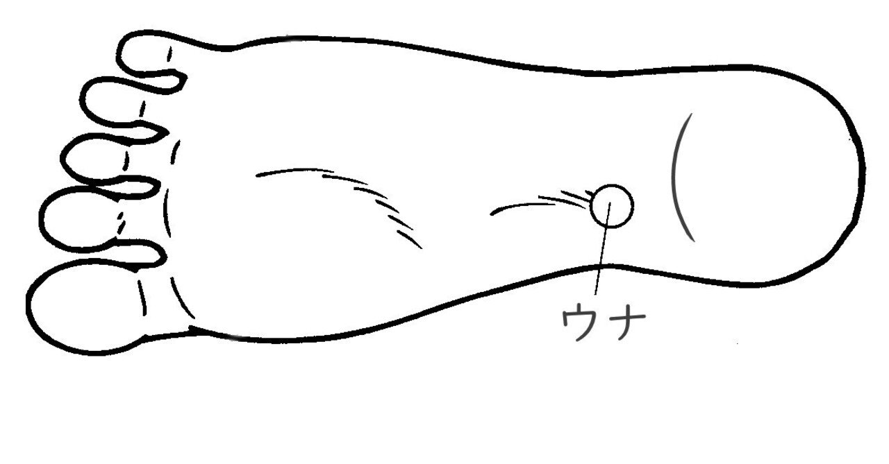 高岡英夫」の人気タグ記事一覧｜note ――つくる、つながる、と