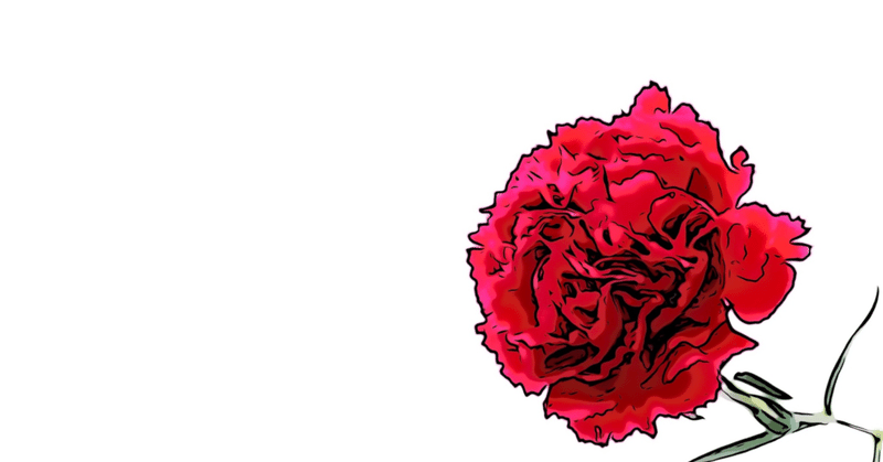 貴女に鮮やかな赤の麝香撫子を みぎひざ Note